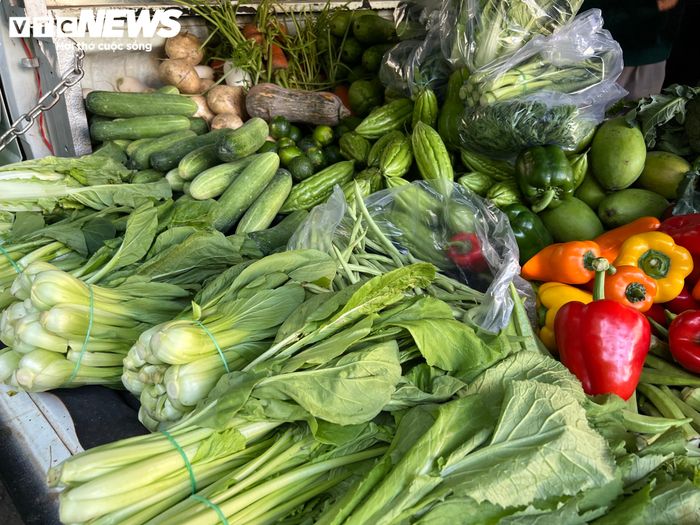Nhiều loại cải tăng giá mạnh.