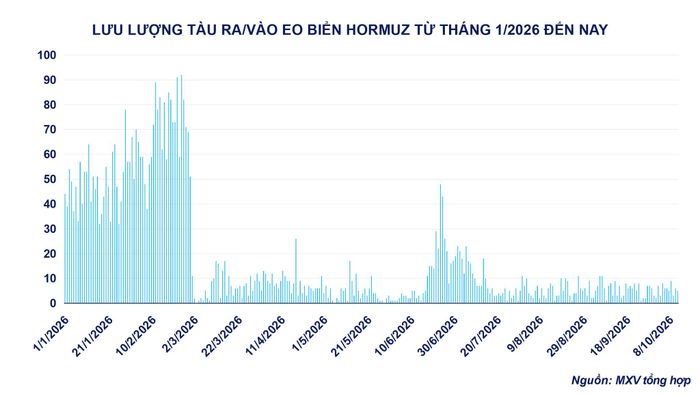 Lưu lượng tàu ra vào eo biển Hormuz từ đầu năm đến nay. Nguồn: MXV