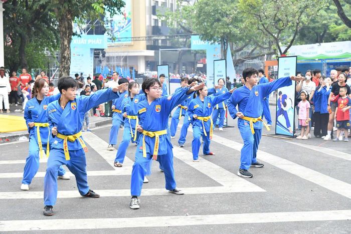 Màn biểu diễn võ thuật thu hút người xem tại Lễ phát động toàn dân tập luyện thể thao. Ảnh: Bùi Lượng