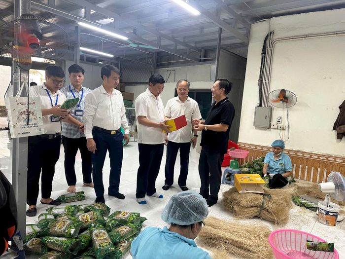 Đoàn kiểm tra thăm cơ sở sản xuất miến. Ảnh: Thanh Hiền