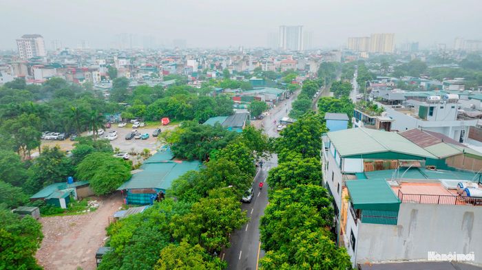 Quang cảnh phường Vĩnh Hưng. Ảnh: PV