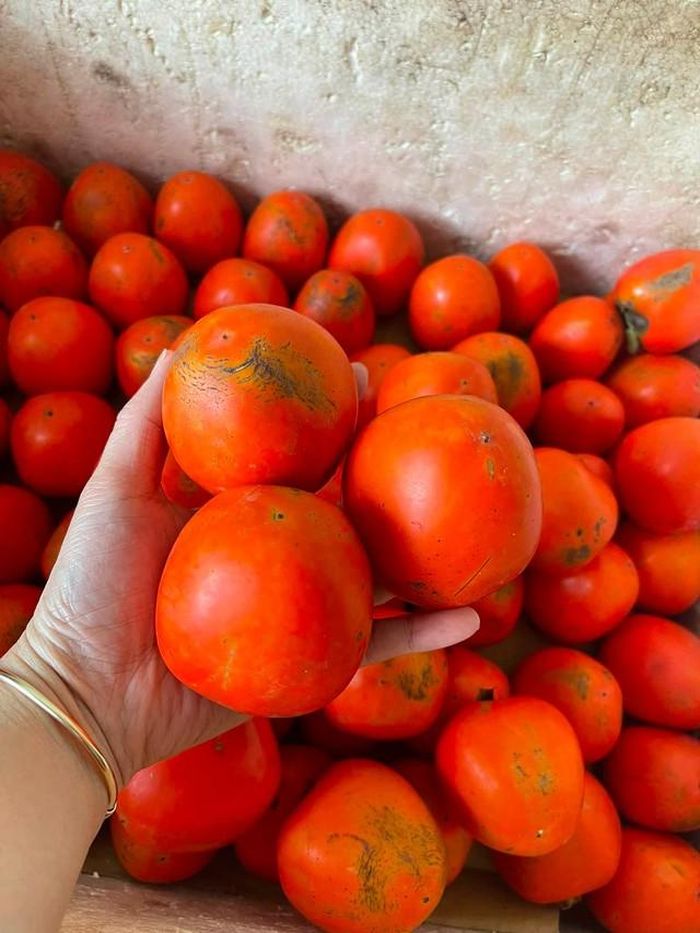 Mỗi loại hồng đều có ưu điểm riêng, vừa thơm ngon, ngọt thanh hấp dẫn.