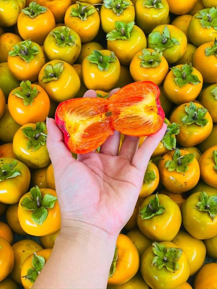 Hồng được nhiều người ưa chuộng bởi có hương vị đặc trưng, thức quả đáng thử trong những ngày trời thu.