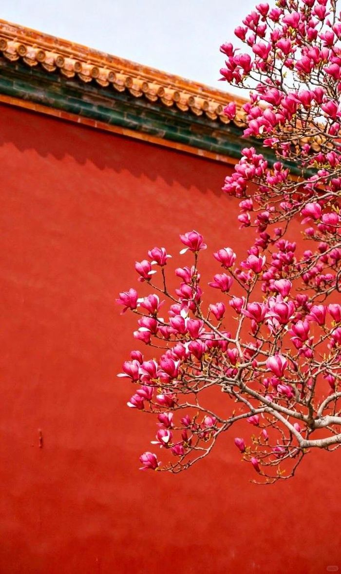 Theo tử vi, người sinh giờ Mão Âm lịch được kỳ vọng có tương lai nhiều triển vọng nhờ sự kết hợp giữa trí tuệ, lòng tốt và tinh thần cầu tiến. Ảnh minh họa