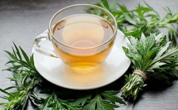 Nước lá ngải cứu có nhiều lợi ích cho sức khỏe.