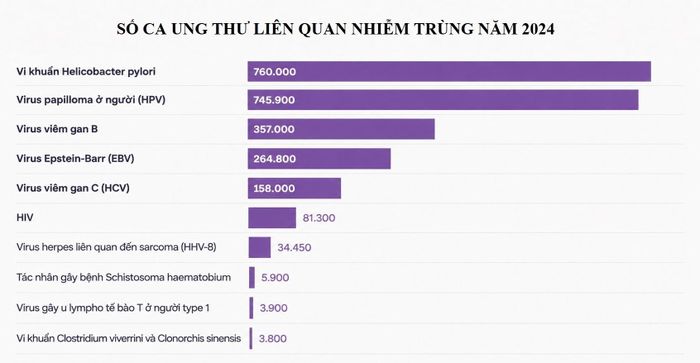 Khoảng 2 triệu ca ung thư trong năm 2024 có liên quan đến các tác nhân gây nhiễm trùng, chẳng hạn như virus. Nguồn/Đồ họa: The Lancet Oncology/CNN.
