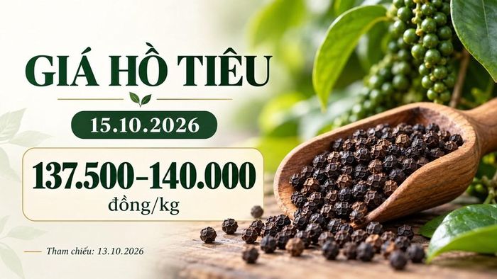 Hình minh họa.