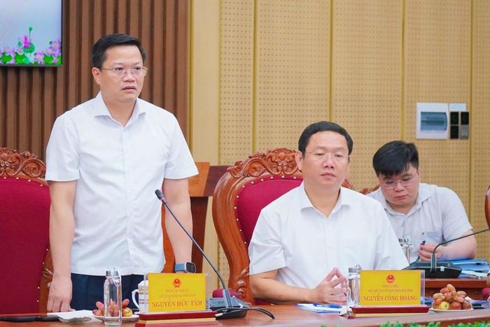 Chủ tịch UBND tỉnh Quảng Ngãi Nguyễn Đức Tâm phát biểu tại buổi làm việc