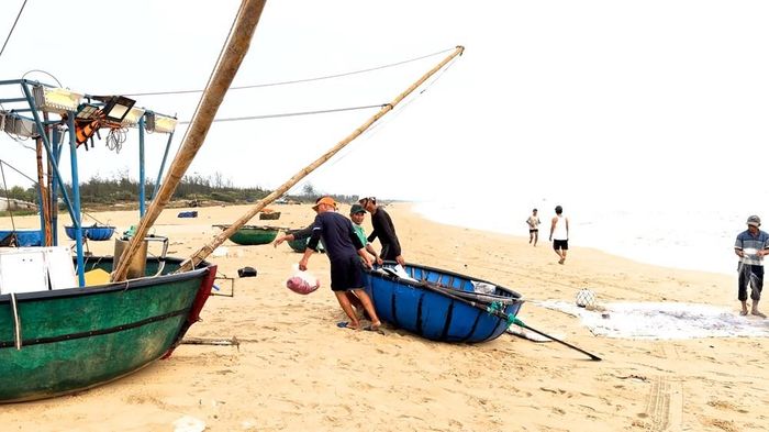 Sau mỗi chuyến biển, công việc trên bãi tiếp tục với phân loại cá, thu dọn và sửa soạn phương tiện cho chuyến kế tiếp. Hoạt động lao động thường nhật là chất liệu để xây dựng trải nghiệm du lịch cộng đồng ở Tam Tiến