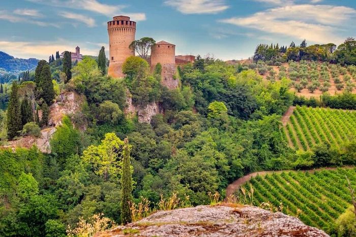 Emilia-Romagna (Italia) là quê hương của phô mai Parmesan, giăm bông prosciutto, giấm balsamic và nước sốt ragù. Ảnh: MORE TIME TO TRAVEL