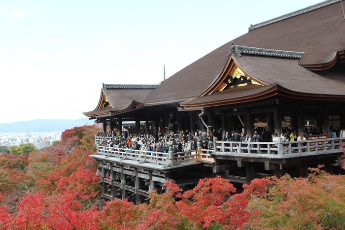 Khách du lịch tham quan Nhật Bản. Ảnh: Đào Thanh Tùng - Phóng viên TTXVN tại Tokyo