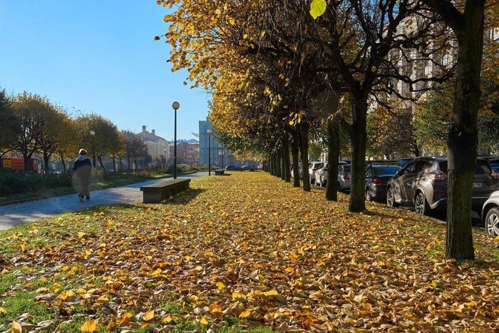 Cảnh đẹp mùa thu tại St. Petersburg, Nga, ngày 14/10/2026. Ảnh: THX/TTXVN phát