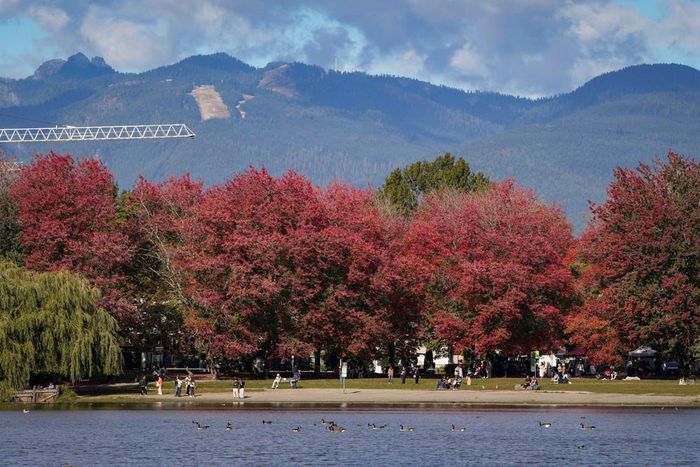 Cảnh đẹp mùa thu ở Vancouver, British Columbia, Canada. Ảnh: THX/TTXVN phát