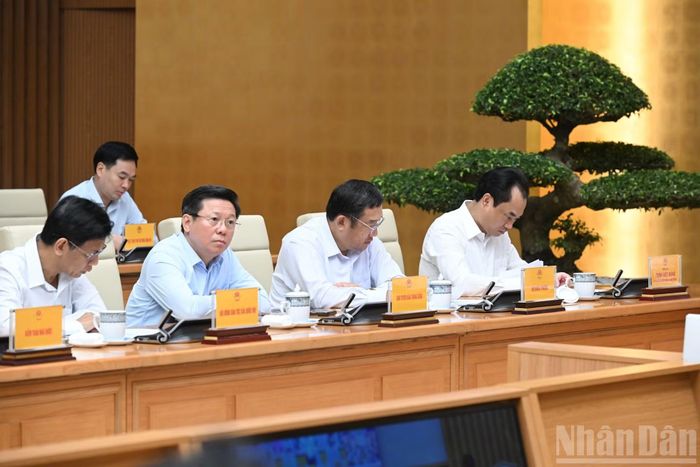 Các đại biểu tham dự hội nghị.
