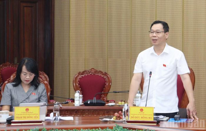 Phó Chủ nhiệm Ủy ban Khoa học, Công nghệ và Môi trường của Quốc hội Đỗ Đức Hồng Hà phát biểu tại buổi làm việc. (Ảnh: HIỂN CỪ)