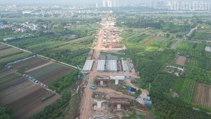 Riêng cầu chính dài khoảng 680m, có nhịp dây văng chính dài 350m, trụ tháp cao 126m. Cầu được thiết kế rộng khoảng 38m, gồm 6 làn xe cơ giới và 2 làn xe hỗn hợp.