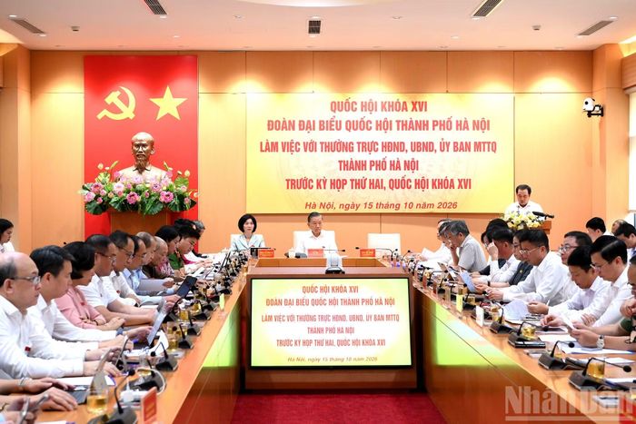 Quang cảnh cuộc làm việc.