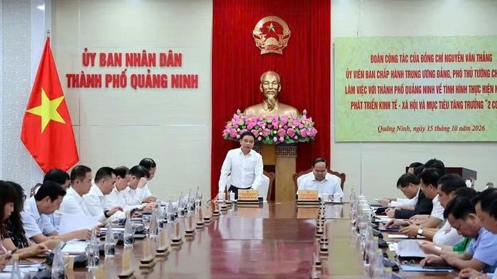 Phó Thủ tướng Chính phủ Nguyễn Văn Thắng phát biểu kết luận tại buổi làm việc. (Ảnh: QUANG THỌ)