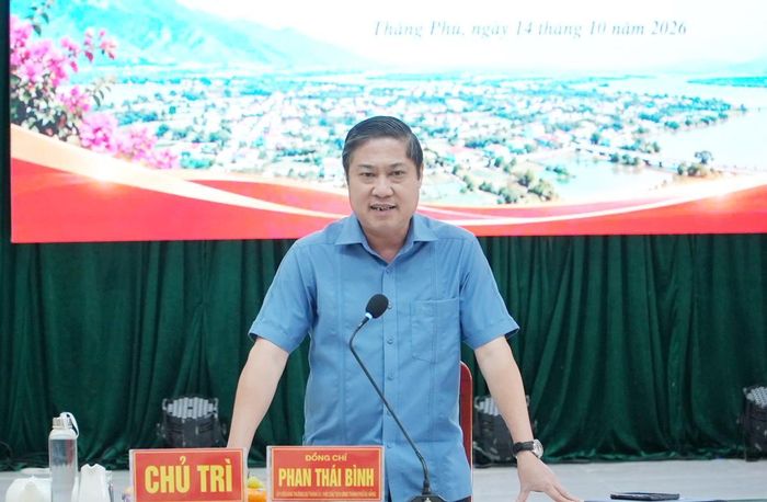 Phó Chủ tịch UBND TP Đà Nẵng Phan Thái Bình kết luận buổi làm việc.