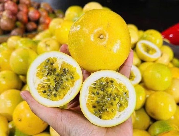 Giống chanh leo Hoàng Kim chứng minh sức hút lớn đối với người tiêu dùng. (Ảnh: Sưu tầm)