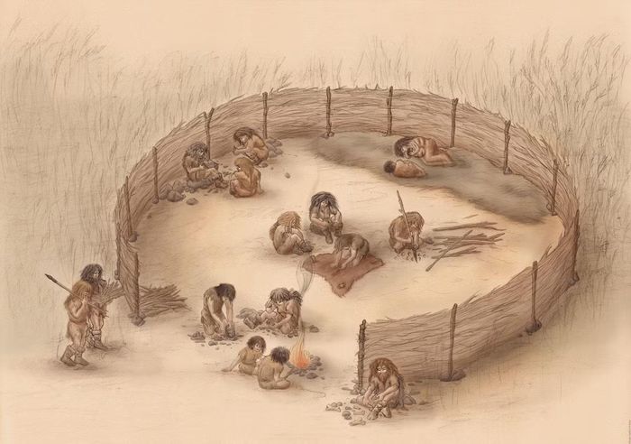 Minh họa người Neanderthal sử dụng công cụ gỗ. Minh họa: MNHN