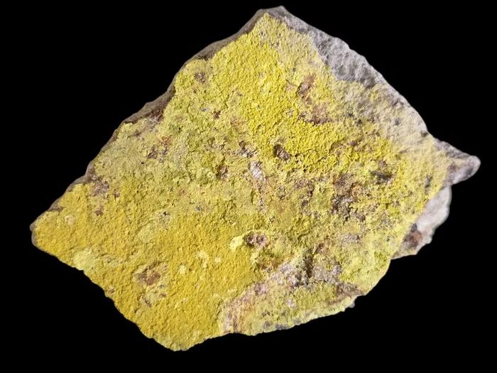Ảnh: radioactiverock.com