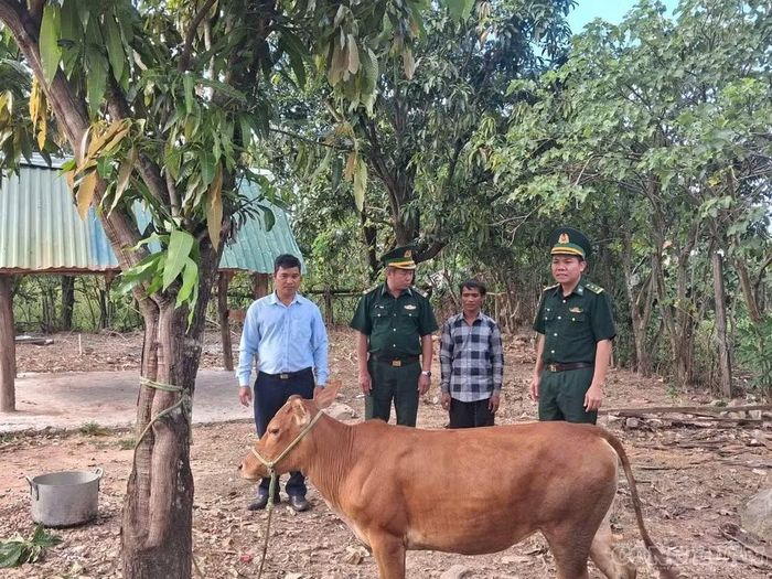 Đồn Biên phòng Ia Mơ trao bò giống cho hộ dân có hoàn cảnh khó khăn, tạo sinh kế giúp người dân từng bước vươn lên thoát nghèo