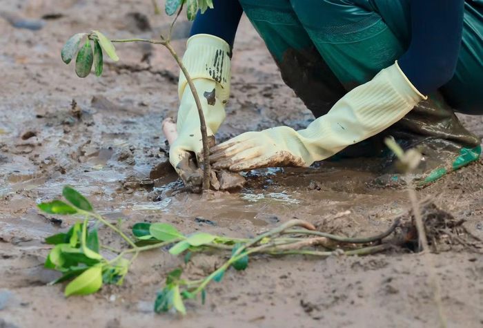 Từ buổi trồng cây, Nguyễn Ngọc Thảo Nguyên nghĩ tới việc kết nối du lịch xanh với sự tham gia của cộng đồng. Cô đề xuất mỗi người đặt mục tiêu trồng ít nhất 10 cây trong năm, có thể gắn với những địa điểm mình đến du lịch.