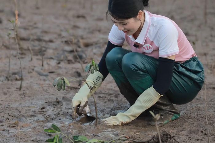 Nguyễn Thị Thúy Linh lần đầu tham gia trồng cây ở rừng ngập mặn. Trải nghiệm khiến cô thêm yêu những mầm xanh và mong được quay lại để nhìn thấy cây trồng hôm nay lớn lên xanh tốt. “Những điều tốt đẹp sẽ nảy mầm từ hôm nay, trong hành động nhỏ của mỗi người vì môi trường”, Thúy Linh chia sẻ.