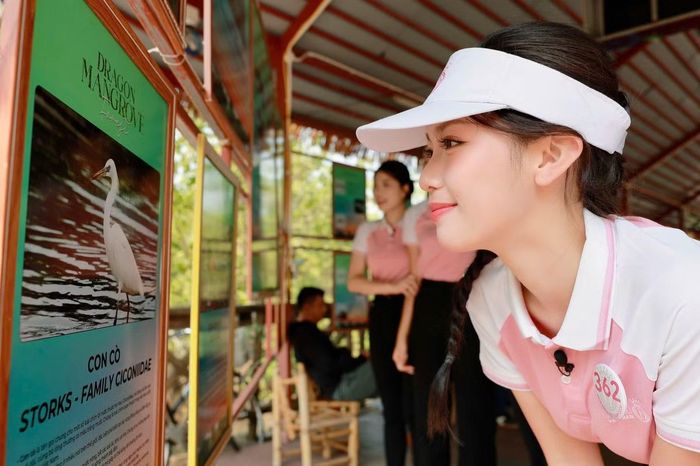 Từ quan sát rừng trên mặt nước đến trực tiếp trồng cây vào buổi chiều, các cô gái có thêm trải nghiệm về bảo vệ môi trường ven biển.