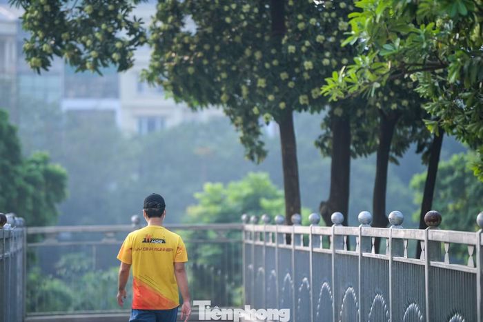 Sau chỉ đạo của lãnh đạo thành phố về rà soát cây hoa sữa trên các tuyến phố, khu vực dân cư, cải thiện môi trường sống, đảm bảo sức khỏe của người dân, ngày 15/10, Sở Xây dựng Hà Nội cho biết đã lên kế hoạch triển khai các biện pháp trước mắt và lâu dài nhằm điều chỉnh mật độ cây hoa sữa trên địa bàn.