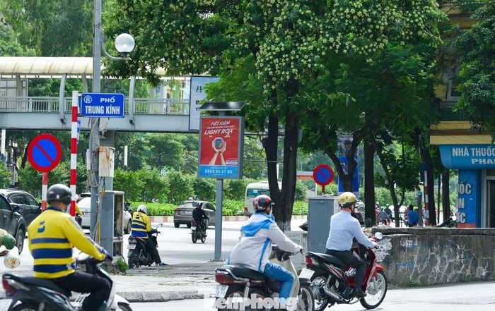 Anh Duy Nam, người thường xuyên đi qua đường Trần Duy Hưng, cho biết anh thích không khí mùa thu Hà Nội nhưng đôi lúc thấy hương hoa sữa quá nồng. “Theo tôi, hoa sữa vẫn nên được giữ ở những tuyến phố phù hợp, nhưng mật độ cây cần được tính toán để mọi người đều cảm thấy thoải mái”, anh nói.
