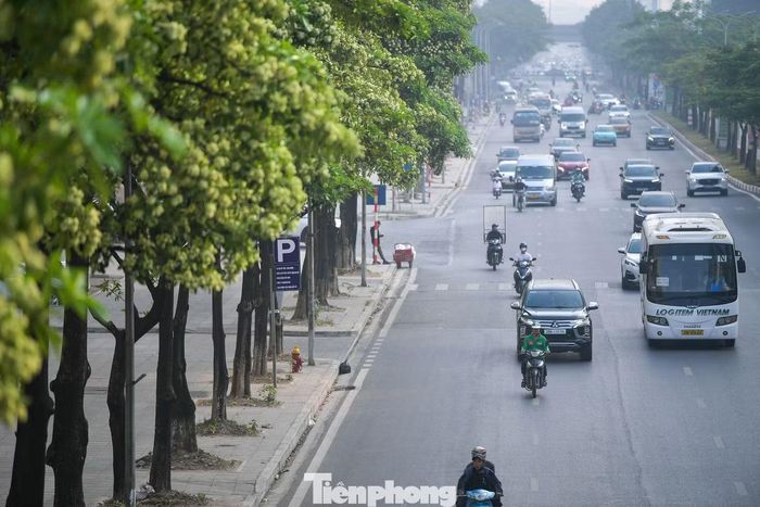 Sở Xây dựng cũng yêu cầu phương án điều chỉnh phải bảo đảm hài hòa giữa yêu cầu cải thiện môi trường sống, bảo vệ sức khỏe người dân với việc bảo tồn, gìn giữ nét đặc trưng của hoa sữa Hà Nội, không dịch chuyển, thay thế đồng loạt, thiếu căn cứ hoặc làm ảnh hưởng đến cảnh quan, hệ thống cây xanh hiện có.