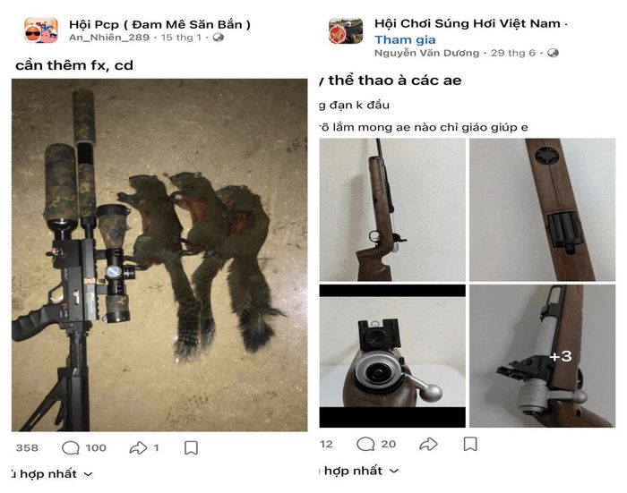 Hội nhóm mua bán súng hơi, vũ khí quân dụng trên mạng xã hội.