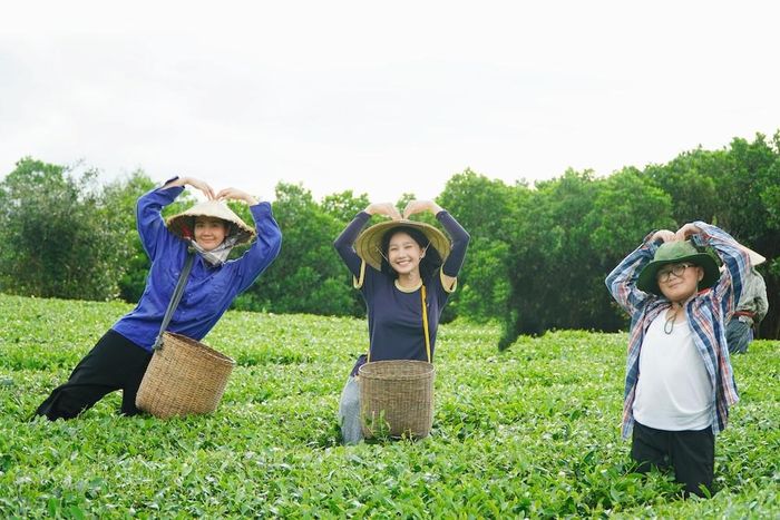 Ba mẹ con trên phim tạo dáng hài hước ở đồi chè. 