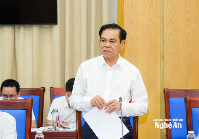 Chủ tịch UBND tỉnh Võ Trọng Hải phát biểu tại cuộc làm việc. Ảnh: TL