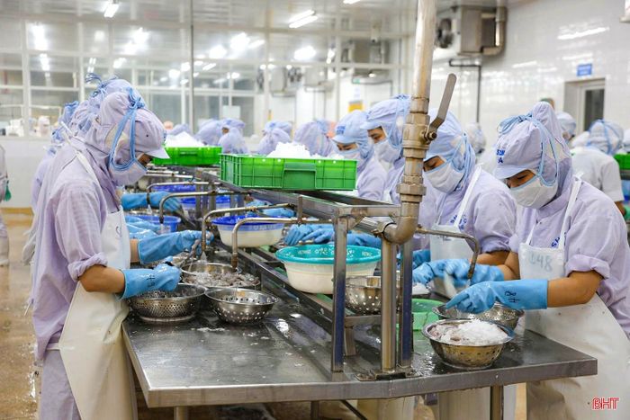 Công ty CP Xuất nhập khẩu Thủy sản Nam Hà Tĩnh cũng đang có nhu cầu lớn về tuyển dụng lao động.