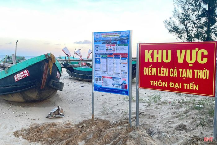 Khu vực điểm lên cá tạm thời thôn Đại Tiến (xã Đồng Tiến).
