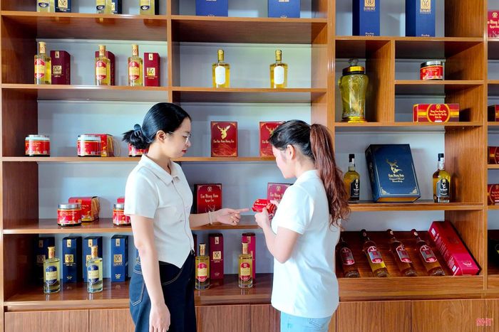 Công ty CP Nông nghiệp Hương Sơn (xã Hương Sơn) tập trung đóng gói, chuẩn bị nguồn hàng phục vụ thị trường cuối năm.