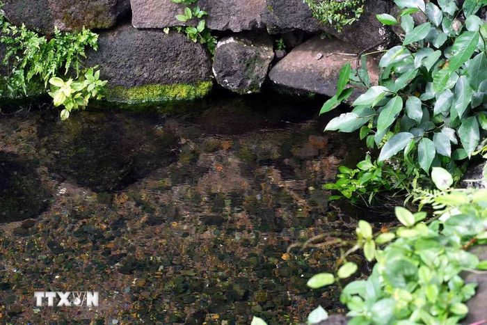 Dòng nước ngầm tự nhiên tại giếng Ông vẫn duy trì qua thời gian, góp phần tạo nên giá trị đặc biệt của di tích giếng cổ Gio An. (Ảnh: Tá Chuyên/TTXVN)