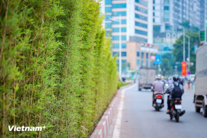 Bảo vệ môi trường cần trở thành thói quen thường xuyên. (Ảnh: Hoài Nam/Vietnam+)