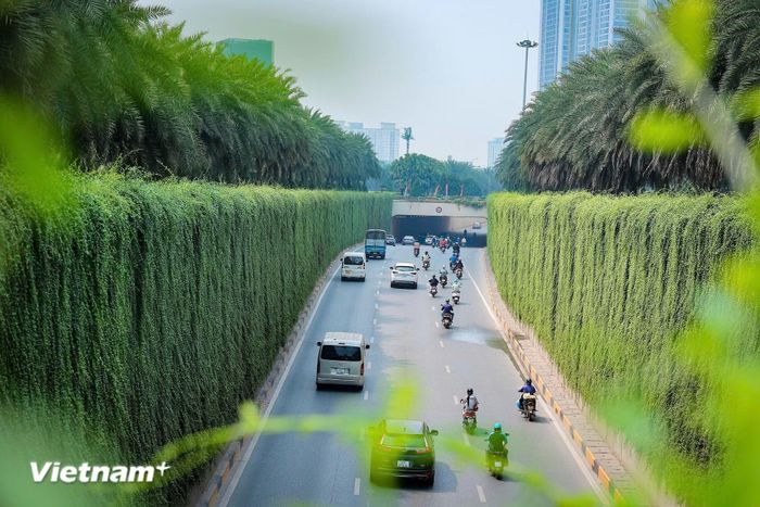Quản trị môi trường theo hướng hiện đại. (Ảnh: Hoài Nam/Vietnam+)