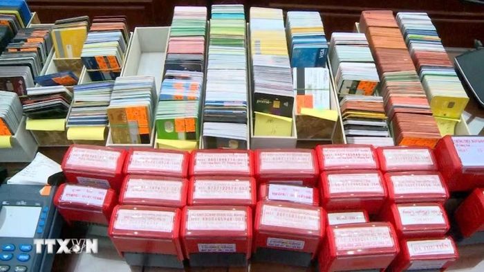 Tang vật của vụ án. (Ảnh: TTXVN phát)