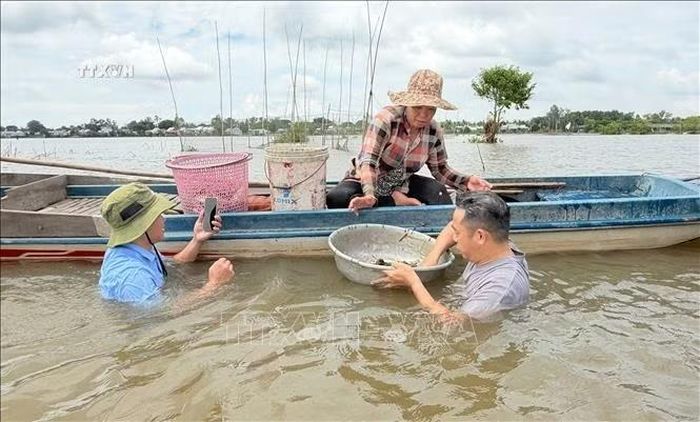 Anh Nguyễn Văn Dũng, hiện sinh sống và làm việc tại thành phố Cần Thơ cùng bạn bè bơi theo thuyền trải nghiệm việc tự mình dỡ dớn bắt cá trên cánh đồng mùa nước nổi ở xã Phú Hữu, tỉnh An Giang.