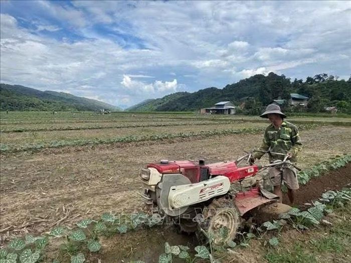 Ông Hoàng Văn Đà (thôn 3, xã Nam Ka, tỉnh Đắk Lắk) mỗi năm đều mất vài sào đất vì bị sụp xuống lòng sông. Hiện tại đất của ông không còn nhiều. Ảnh: Kha Phạm/TTXVN