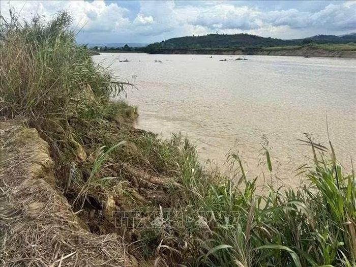Một đoạn sông Krông Nô đi qua xã Nam Ka thường xuyên bị sạt lở vì nhiều nguyên nhân, trong đó có nguyên nhân lòng sông chịu cảnh khai thác cát liên tục quá mức, trong khi nguồn cát bổ sung bị chặn lại phía thượng nguồn hồ thủy điện. Ảnh: Kha Phạm/TTXVN