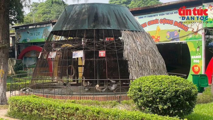 TP Hà Nội dự kiến cải tạo tổng thể Công viên Thủ Lệ theo hướng "vừa đóng vừa mở". Trong đó, 70% công viên sẽ không có rào chắn, mở cửa cho cộng đồng, 30% diện tích còn lại cho nuôi dưỡng, bảo tồn động vật có kiểm soát.