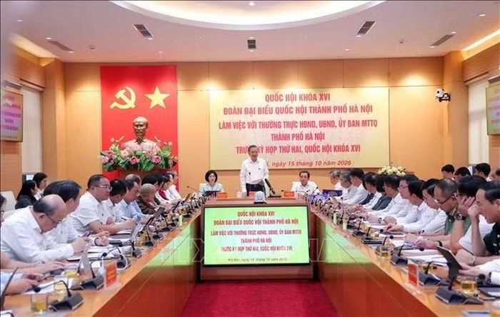 Tổng Bí thư, Chủ tịch nước Tô Lâm chủ trì buổi làm việc. Ảnh: Văn Điệp/TTXVN