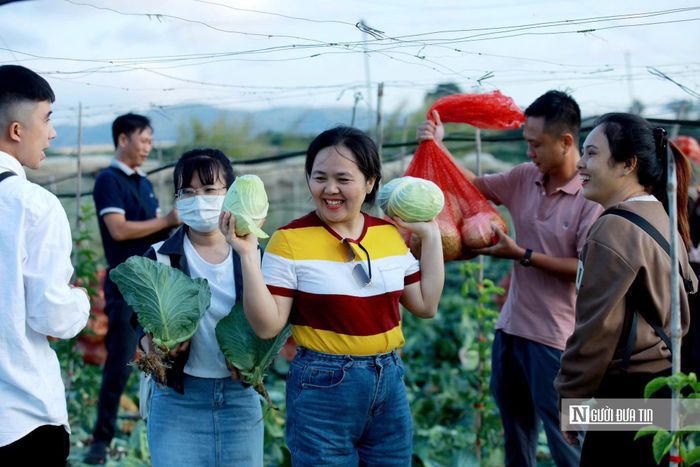Phát triển du lịch nông thôn kết hợp quảng bá sản phẩm OCOP ở Lâm Đồng.