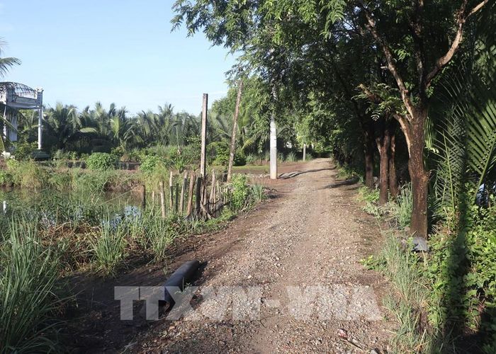 Tuyến lộ giao thông nông thôn kênh Giữa (ấp 3), xã Khánh An chuẩn bị thi công. Ảnh: Tuấn Phi - TTXVN